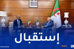 الجزائر والسنغال.. إعادة تفعيل آليات التعاون الثنائي