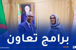 وزير الشباب يستقبل وزيرة الشباب والثقافة بجمهورية جيبوتي