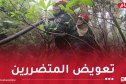 الشروع في تعويض المتضررين من الحرائق
