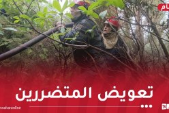 الشروع في تعويض المتضررين من الحرائق