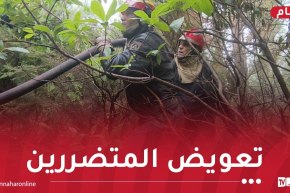 الشروع في تعويض المتضررين من الحرائق