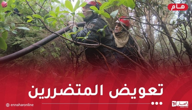 الشروع في تعويض المتضررين من الحرائق