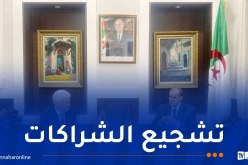 رزيق يستقبل سفير جمهورية النمسا