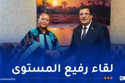 بوطبيق يستقبل المديرة التنفيذية للآلية الإفريقية للتقييم من قبل النظراء