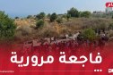 حادث بومرداس.. ارتفاع حصيلة الضحايا إلى 25 وفاة و44 جريح