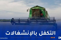 حملة الحصاد والدرس..قنوات اتصال مباشرة تحت تصرف الفلاحين ومنتجي الحبوب لرفع العراقيل
