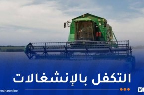 حملة الحصاد والدرس..قنوات اتصال مباشرة تحت تصرف الفلاحين ومنتجي الحبوب لرفع العراقيل