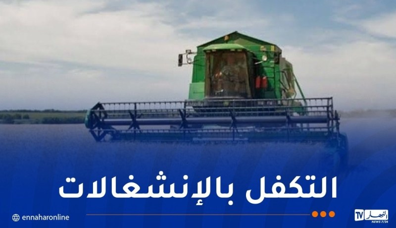 حملة الحصاد والدرس..قنوات اتصال مباشرة تحت تصرف الفلاحين ومنتجي الحبوب لرفع العراقيل