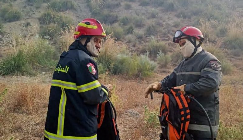 بجاية.. إخماد حريق أتلف محاصيل زراعية في دراع القايد