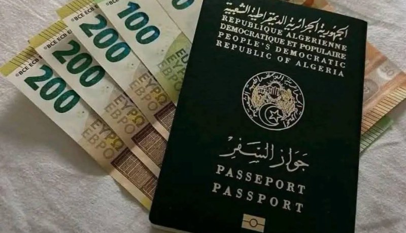 منحة السفر.. هذا هو تاريخ دخول حيز التنفيذ بطاقة الدفع الدولية