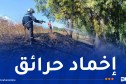 إخماد 29 حريقا عبر مختلف الولايات