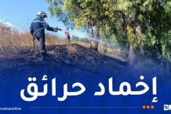 إخماد 29 حريقا عبر مختلف الولايات