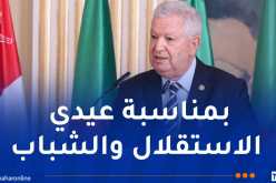 ناصري: الجزائر المنتصرة تواصل تدعيم استقلالها السياسي باستقلال اقتصادي متنوع