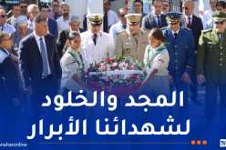 إحتفالات مخلّدة عبر الوطن للذكرى 64 لعيد الإستقلال