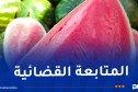 هام بخصوص فاكهة “الدلاع”
