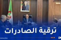 رزيق يشدّد على ضرورة التأشير على البرامج التقديرية للإستيراد
