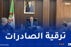 رزيق يشدّد على ضرورة التأشير على البرامج التقديرية للإستيراد