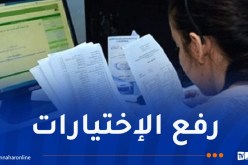 12 خيارا أمام حاملي البكالوريا الجدد للتسجيل