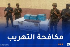 إحباط تهريب أكثر من 81 ألف قرص “بريغابالين” ببشار