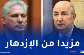 عيد الإستقلال.. رئيس الجمهورية يتلقى التهاني من نظيره الكوبي