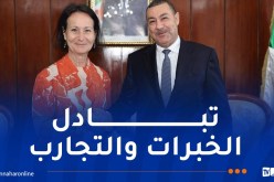 وزير الداخلية يبحث سبل تعزيز التعاون مع سفيرة السويد