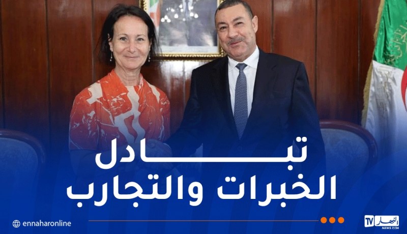 وزير الداخلية يبحث سبل تعزيز التعاون مع سفيرة السويد