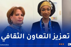 شراكة استراتيجية للصناعات الإبداعية.. وزيرة الثقافة تلتقي نظيرتها النيجيرية