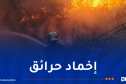 خلال 24 ساعة.. إخماد 35 حريقا عبر عدة ولايات