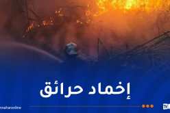 خلال 24 ساعة.. إخماد 35 حريقا عبر عدة ولايات