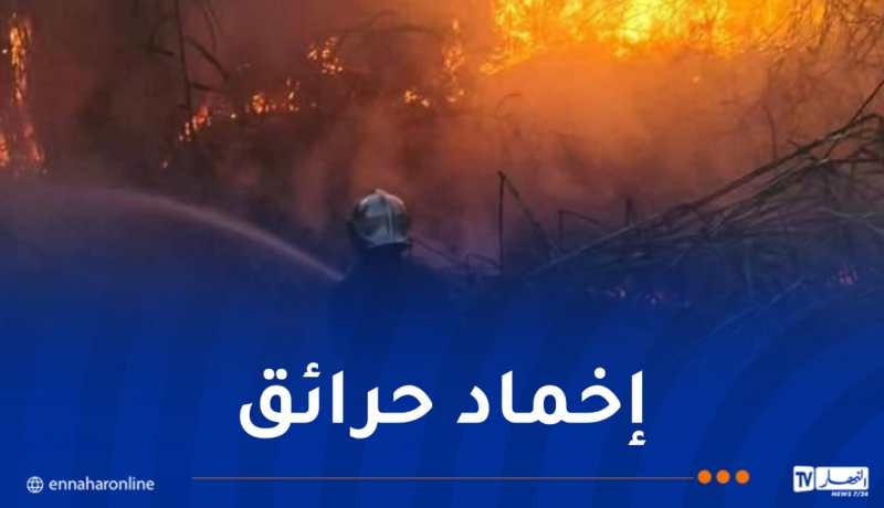 خلال 24 ساعة.. إخماد 35 حريقا عبر عدة ولايات