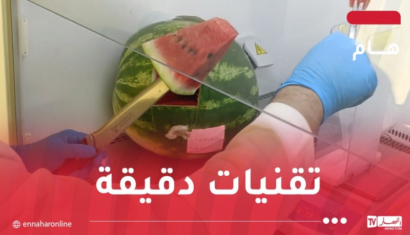 بعد إجراء تحاليل مخبرية.. وزارة التجارة توضح بخصوص سلامة فاكهة “الدلاع”