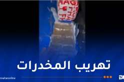 إحباط تهريب قرابة 300 كلغ من الكيف بسطيف وبشار