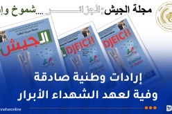 مجلة الجيش: ما حققته ثورتنا التحريرية ثمرة تضحيات يتم في كنفها ترسيخ أسس الجزائر الجديدة
