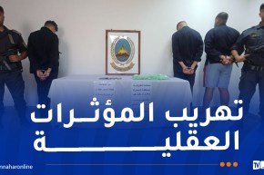 إحباط محاولتي تهريب أزيد من 30 ألف قرص مهلوس بسطيف ووهران