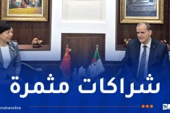 رزيق يستعرض آفاق التعاون الاقتصادي والتجاري مع الصين