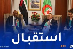 وزير الدّاخلية يستقبل نظيره الموزمبيقي