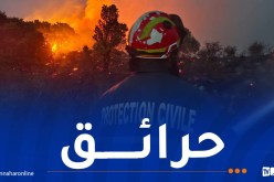 إخماد 120 حريقا والعملية جارية على مستوى تسع ولايات