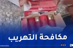 تبسة.. توقيف شخص وحجز 7125 خرطوشة صيد
