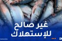 بجاية: حجز أزيد من 1000 كلغ سردين فاسد كانت موجهة للاستهلاك