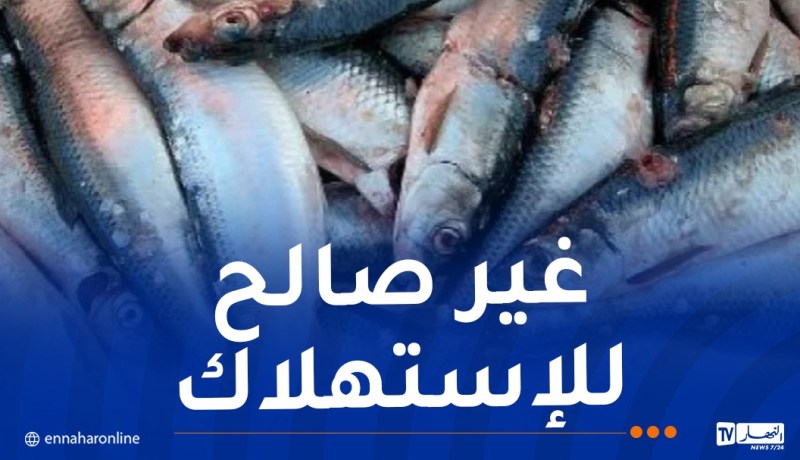 بجاية: حجز أزيد من 1000 كلغ سردين فاسد كانت موجهة للاستهلاك