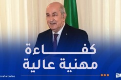 باسم رئيس الجمهورية.. الوزير الأول يعرب عن تقديره لإطارات وزارة الطاقة وسونلغاز وأعوانها