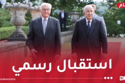 رئيس الجمهورية يُخص باستقبال رسمي من قبل نظيره الألماني بـ”فيلا بورسيغ” ببرلين