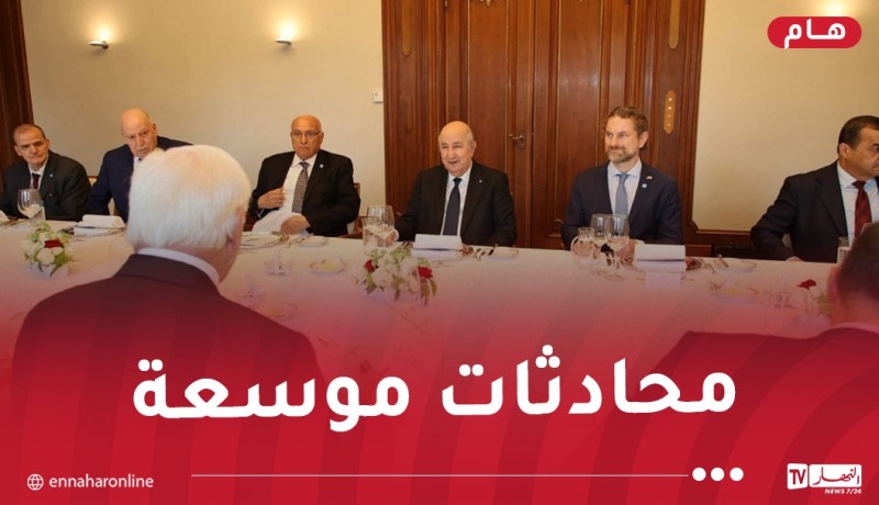 رئيس الجمهورية يترأس رفقة نظيره الألماني محادثات شملت وفدي البلدين