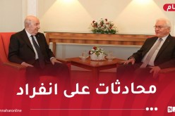 رئيس الجمهورية يجري محادثات على انفراد مع الرئيس الألماني