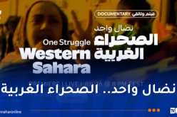 نضال واحد.. سلسلة وثائقية تتناول مسيرة نضال شعب لتقرير مصيره