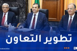 عرقاب يتباحث سبل التعاون الطاقوي مع فيدرالية البوسنة والهرسك