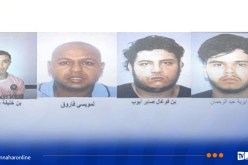حرائق الغابات.. إيداع 4 متهمين الحبس أضرموا النار عمدا بقسنطينة