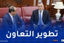 وزير الري يبحث سبل التعاون مع نظيره الليبي