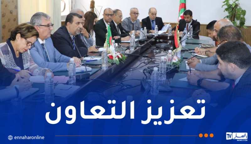 تحلية مياه البحر والري الفلاحي.. محاور أساسية للتعاون بين الجزائر وليبيا