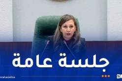 نواب المجلس الشعبي الوطني يصادقون على قائمة نواب الرئيس